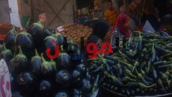 أسعار الخضار والفاكهة-البحيرة
