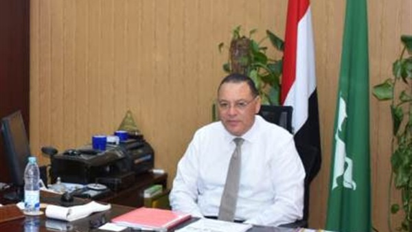 محافظ الشرقية 