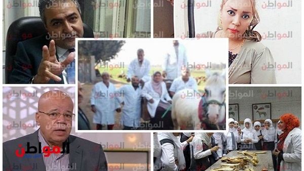 أزمة الطب البيطري