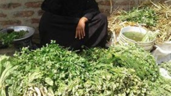حكاية سيدة