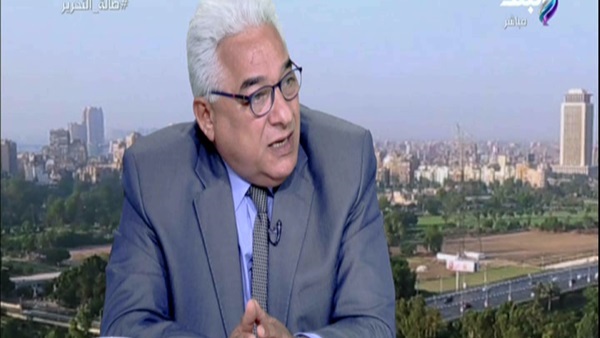 الدكتور على الحفني