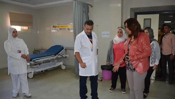 محافظ دمياط