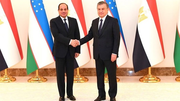 لقاء الرئيس السيسي