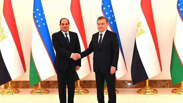 الرئيس السيسي ورئيس