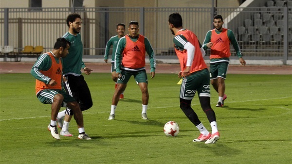 فريق المصري