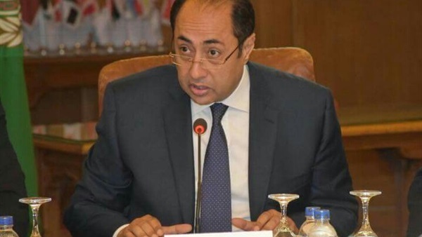 السفير حسام ذكى