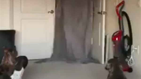 شاب يقوم بخدعة أمام