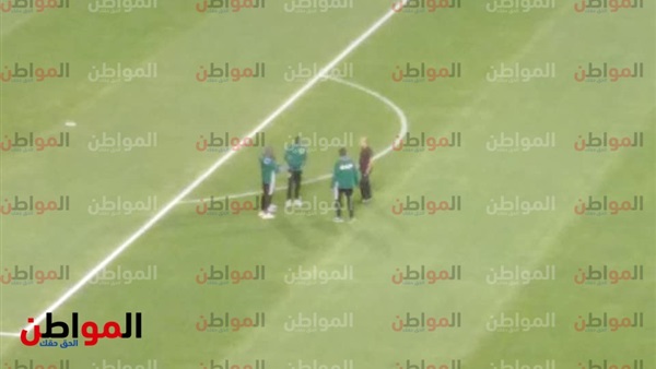 عامر حسين - حكام