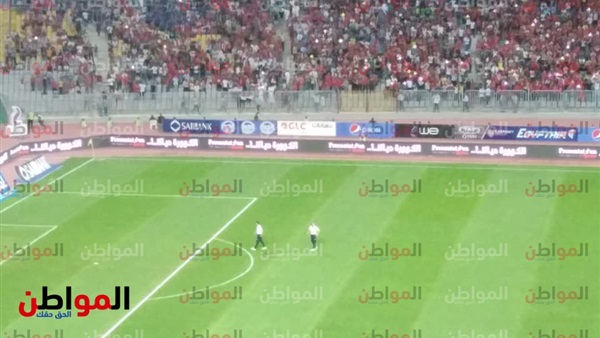 ميشيل سلجادو