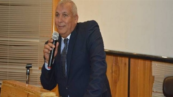 محافظ الوادي الجديد