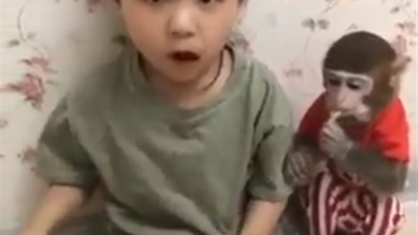 طفلة وقرد