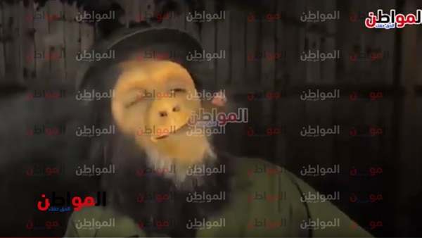 اشهر 5 هبدات