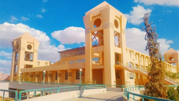 كلية تجارة جامعة