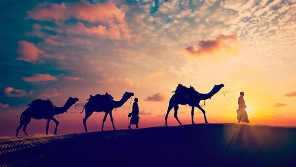 الهجرة