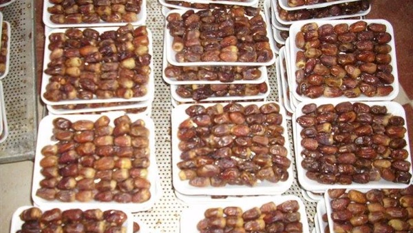 مزارع البلح النموذجية