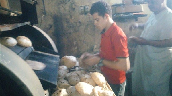 المواطن
