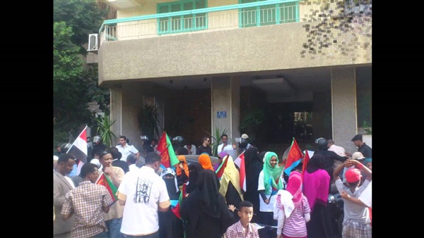 المواطن