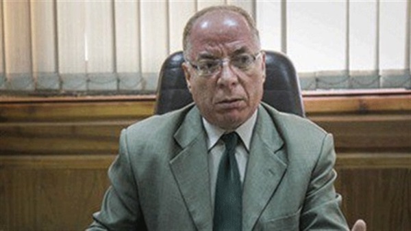 حلمى النمنم