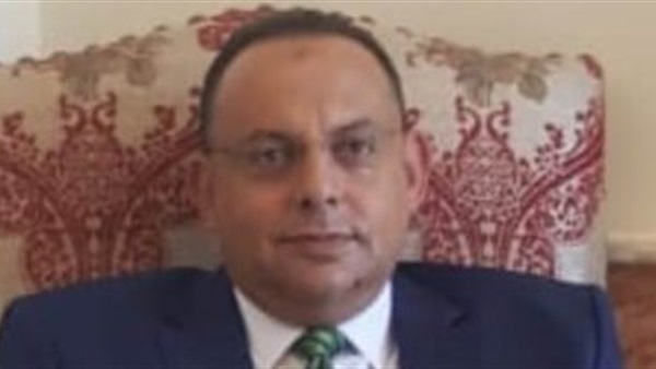 العميد محمد فوزى