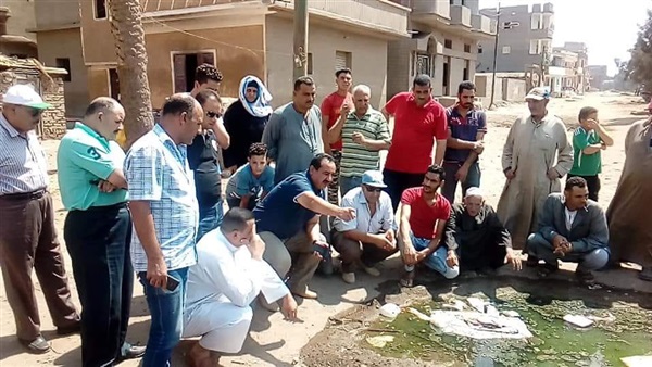 المواطن