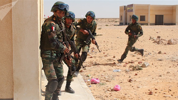 عناصر الجيش المصري