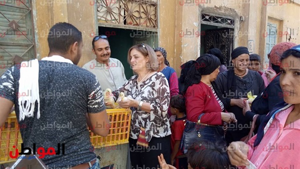 إيزيس حافظ