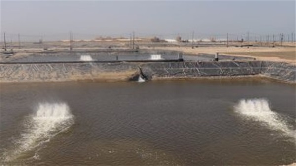 مزرعة سمكية 
