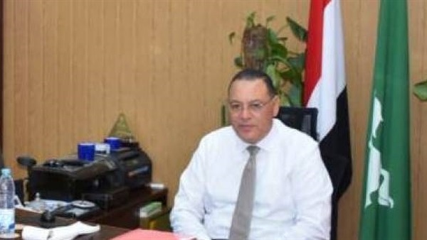 محافظ الشرقية