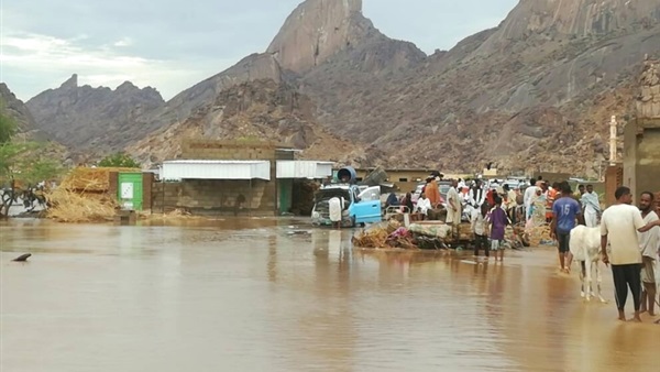 مبادرة مصر والسودان