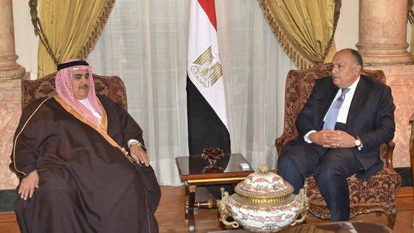 لقاء سامح شكري مع