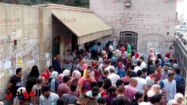 جامعة القاهرة