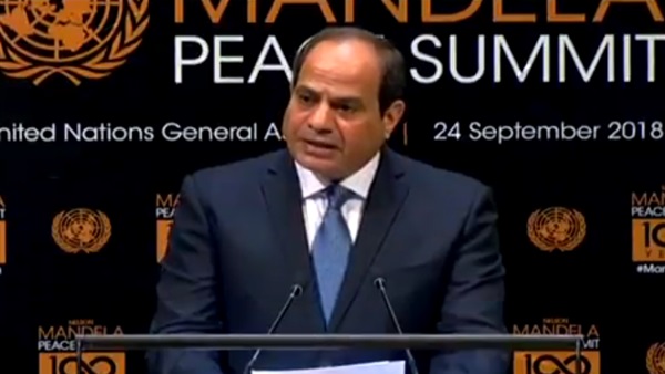 السيسي