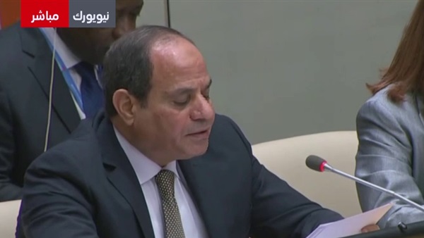 السيسي
