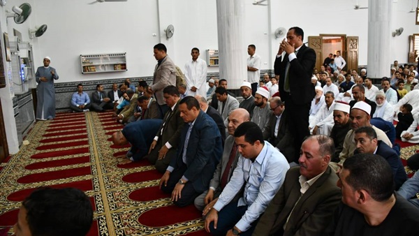 محافظ البحيرة