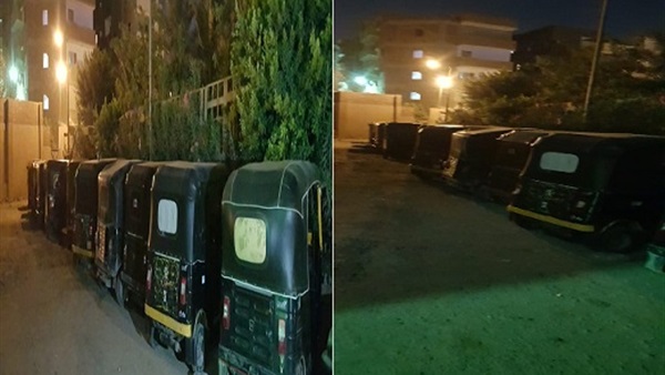 المواطن