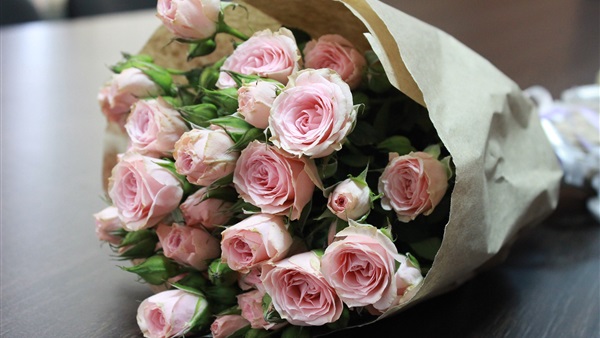 أسعار الورد