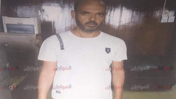 المواطن