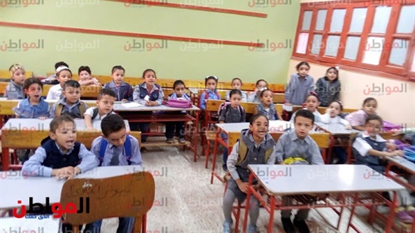 المواطن