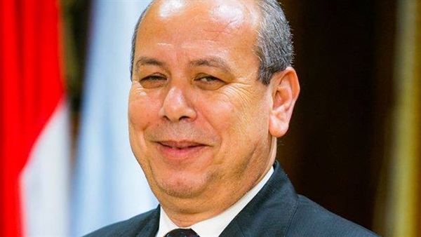 محافظ كفر الشيخ