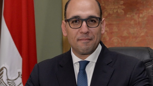 المستشار أحمد حافظ