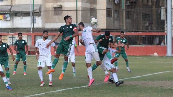 المصري 19