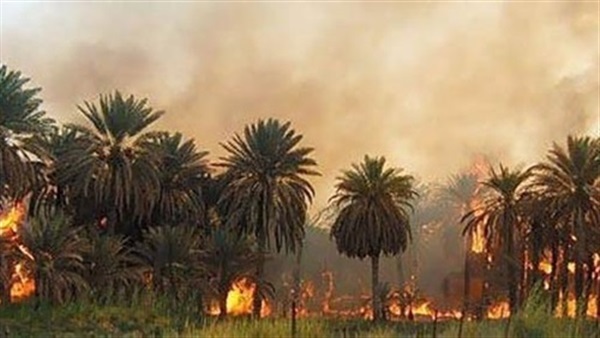 حريق هائل في مزرعة