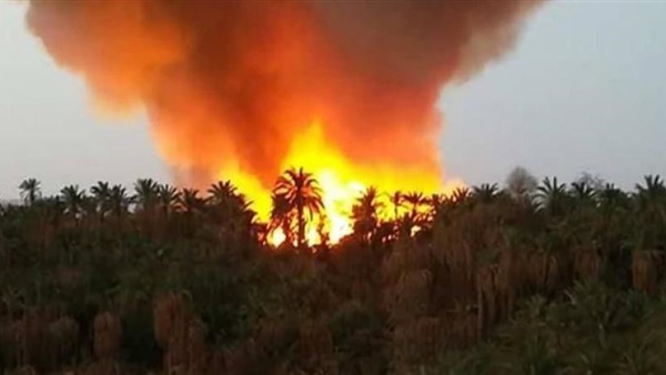 حريق الراشدة-حريق