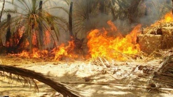 حريق الراشدة-حريق