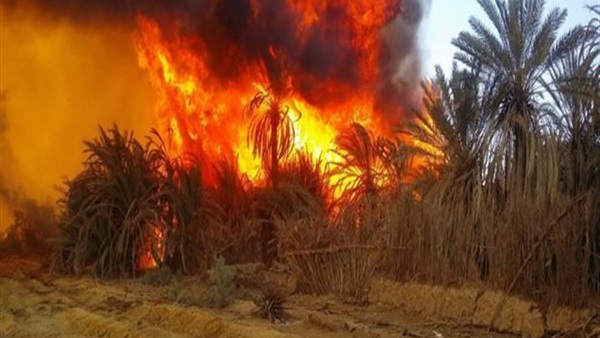 حريق قرية الراشدة