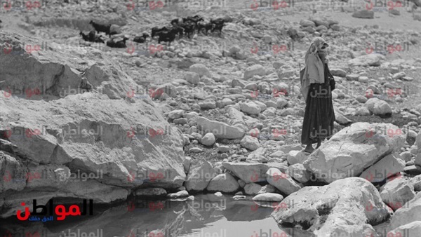 المرأة السيناوية