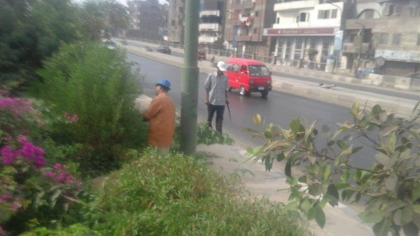 استغلال قطعة أرض
