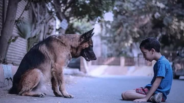 صاحب كلب يصونك