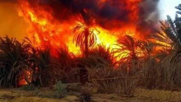 حريق قرية الراشدة