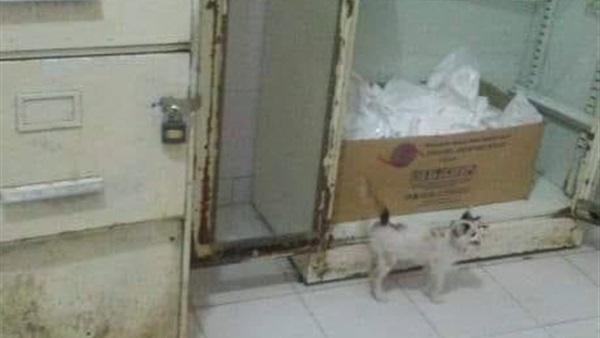 مستشفى طهطا العام